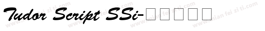 Tudor Script SSi字体转换